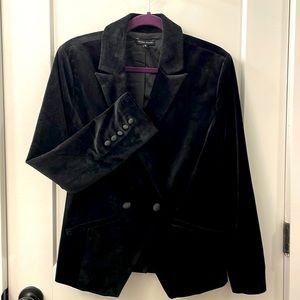 Universal Standard Velvet Blazer SZ10